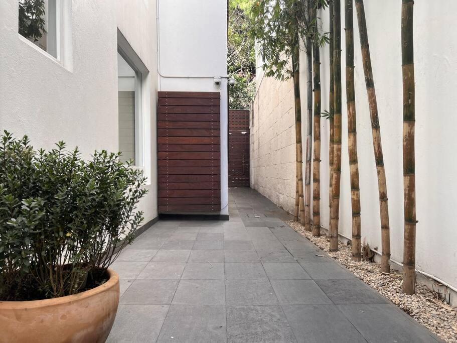 Condesa Residence Amsterdam 101 Serene 1 Bed1Bath On Amsterdam Av Mexico City Ngoại thất bức ảnh