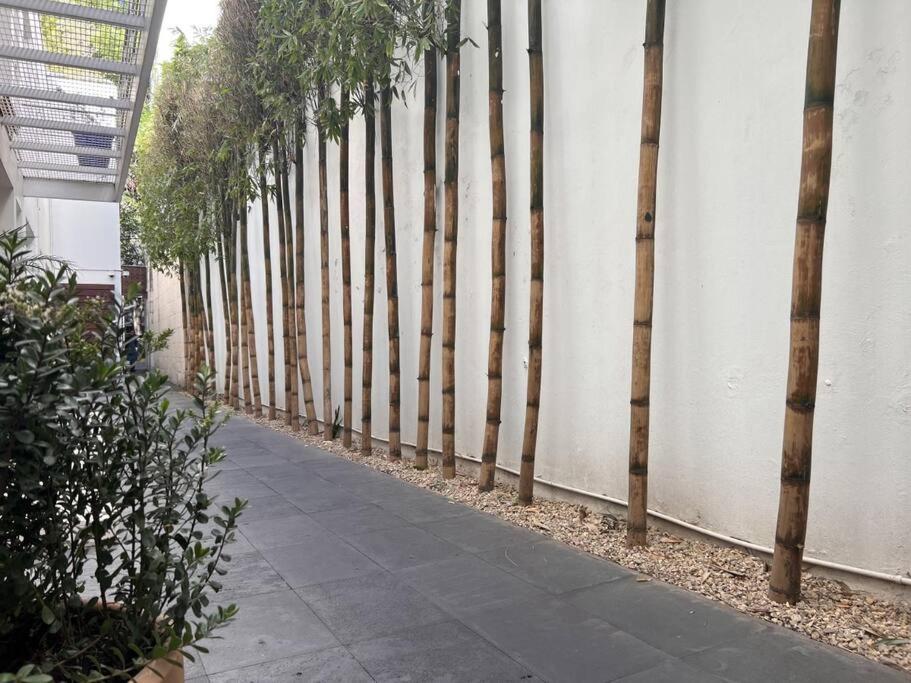 Condesa Residence Amsterdam 101 Serene 1 Bed1Bath On Amsterdam Av Mexico City Ngoại thất bức ảnh