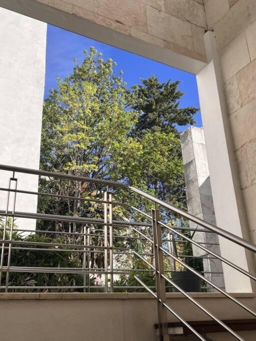Condesa Residence Amsterdam 101 Serene 1 Bed1Bath On Amsterdam Av Mexico City Ngoại thất bức ảnh