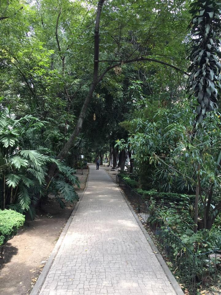 Condesa Residence Amsterdam 101 Serene 1 Bed1Bath On Amsterdam Av Mexico City Ngoại thất bức ảnh